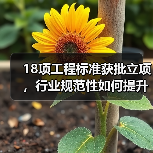 18项工程标准获批立项，行业规范性如何提升？（图3）