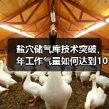 盐穴储气库技术突破,年工作气量如何达到10亿立方米?(图2) 盐穴储气库技术突破,年工作气量如何达到10亿立方米?(图2)