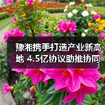 豫湘携手打造产业新高地 4.5亿协议助推协同升级（图1）