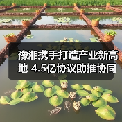 豫湘携手打造产业新高地 4.5亿协议助推协同升级（图3）