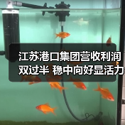 江苏港口集团营收利润双过半 稳中向好显活力(图4) 江苏港口集团营收利润双过半 稳中向好显活力(图4)