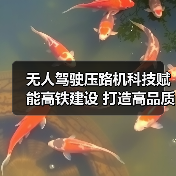 无人驾驶压路机科技赋能高铁建设 打造高品质施工新标杆（图3）