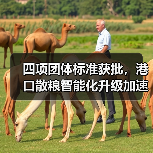 四项团体标准获批，港口散粮智能化升级加速（图1）