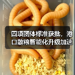 四项团体标准获批，港口散粮智能化升级加速（图2）
