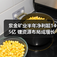 紫金矿业半年净利超145亿 锂资源布局成增长新引擎（图2）