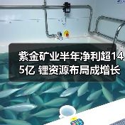 紫金矿业半年净利超145亿 锂资源布局成增长新引擎（图3）