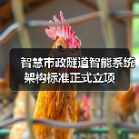 智慧市政隧道智能系统架构标准正式立项（图1）