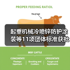 起重机械冷喷锌防护涂装等11项团体标准获批,行业应用如何升级?(图3) 起重机械冷喷锌防护涂装等11项团体标准获批,行业应用如何升级?(图3)