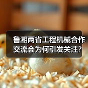 鲁湘两省工程机械合作交流会为何引发关注?(图4) 鲁湘两省工程机械合作交流会为何引发关注?(图4)