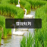提现规则(图3) 提现规则(图3)