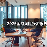 2025全球风险投资报告(图4) 2025全球风险投资报告(图4)