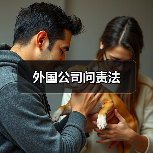 外国公司问责法（图2）