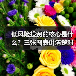 低风险投资的核心是什么?三张图表讲清楚对比逻辑(图4) 低风险投资的核心是什么?三张图表讲清楚对比逻辑(图4)