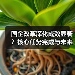 国企改革深化成效显著？核心任务完成与未来方向解析（图1）