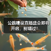 公路建设直播盛会即将开启，别错过！（图3）