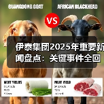 伊泰集团2025年重要新闻盘点：关键事件全回顾（图1）
