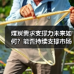 煤炭需求支撑力未来如何?能否持续支撑市场?(图1) 煤炭需求支撑力未来如何?能否持续支撑市场?(图1)