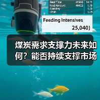 煤炭需求支撑力未来如何?能否持续支撑市场?(图2) 煤炭需求支撑力未来如何?能否持续支撑市场?(图2)