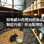 锌电解AI应用如何推动智能升级?株冶集团项目通过验收降耗30kWh(图1) 锌电解AI应用如何推动智能升级?株冶集团项目通过验收降耗30kWh(图1)