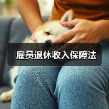 雇员退休收入保障法（图3）