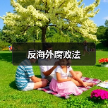 反海外腐败法(图3) 反海外腐败法(图3)