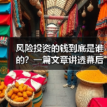 风险投资的钱到底是谁的？一篇文章讲透幕后玩家（图4）